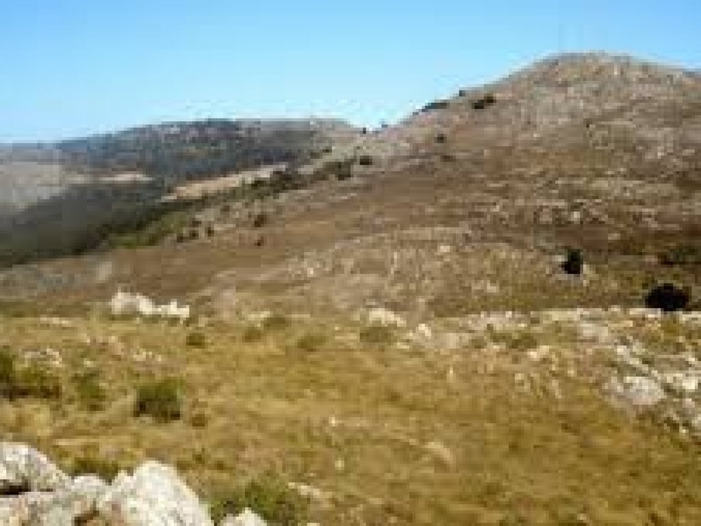 Asociaci N De Caba As De Tandil Paseo Tur Stico Sierra De Las Animas